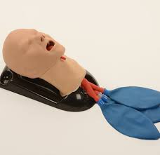 Airway Management
