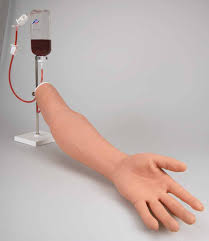 IV and Arterial Trainer