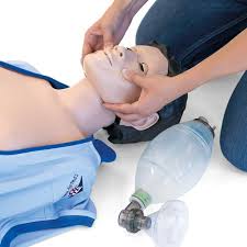 Basic Life Support (BLS)