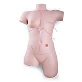 Suturing and Bandaging Trainer