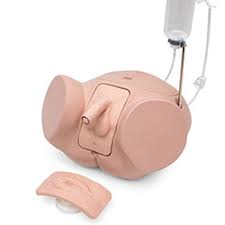 Catheterization Trainer