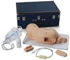 Epidural and Lumbar Trainer