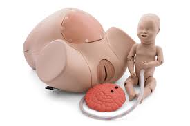 Obstetrics