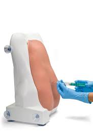 Epidural and Spinal Trainer