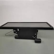 Virtual Dissection Table