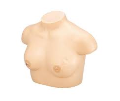 Breast Cancer Model