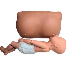 Breastfeeding Model