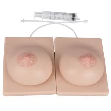 Breast Models